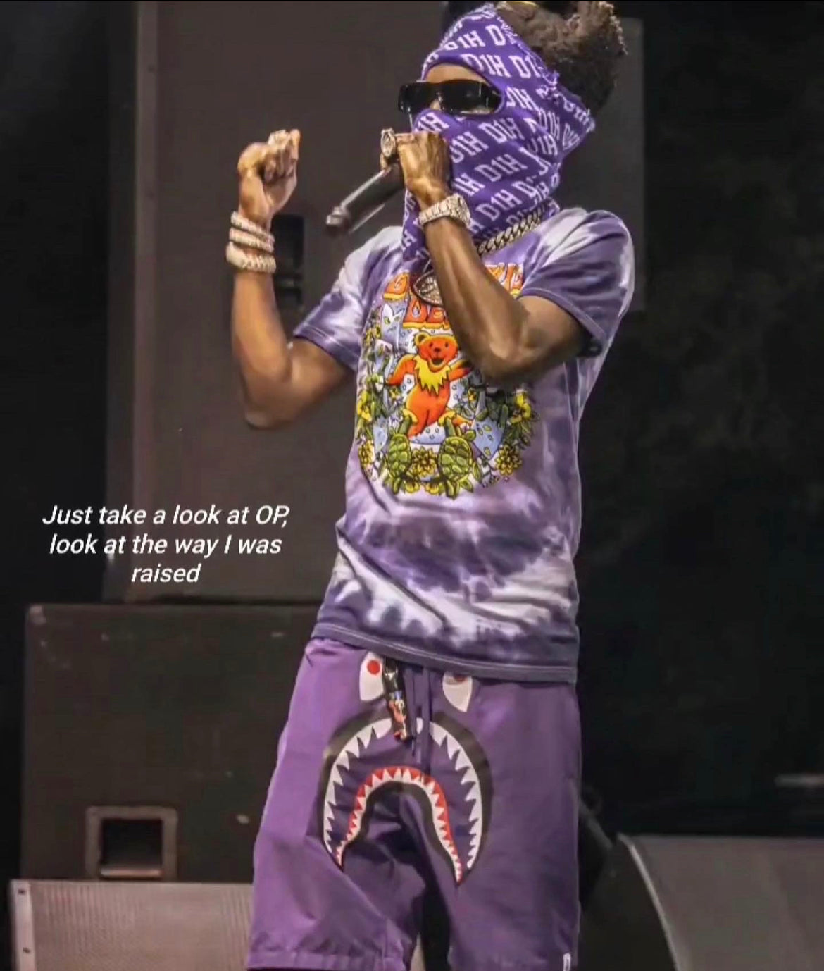 D1H Ski Mask ( PURPLE )
